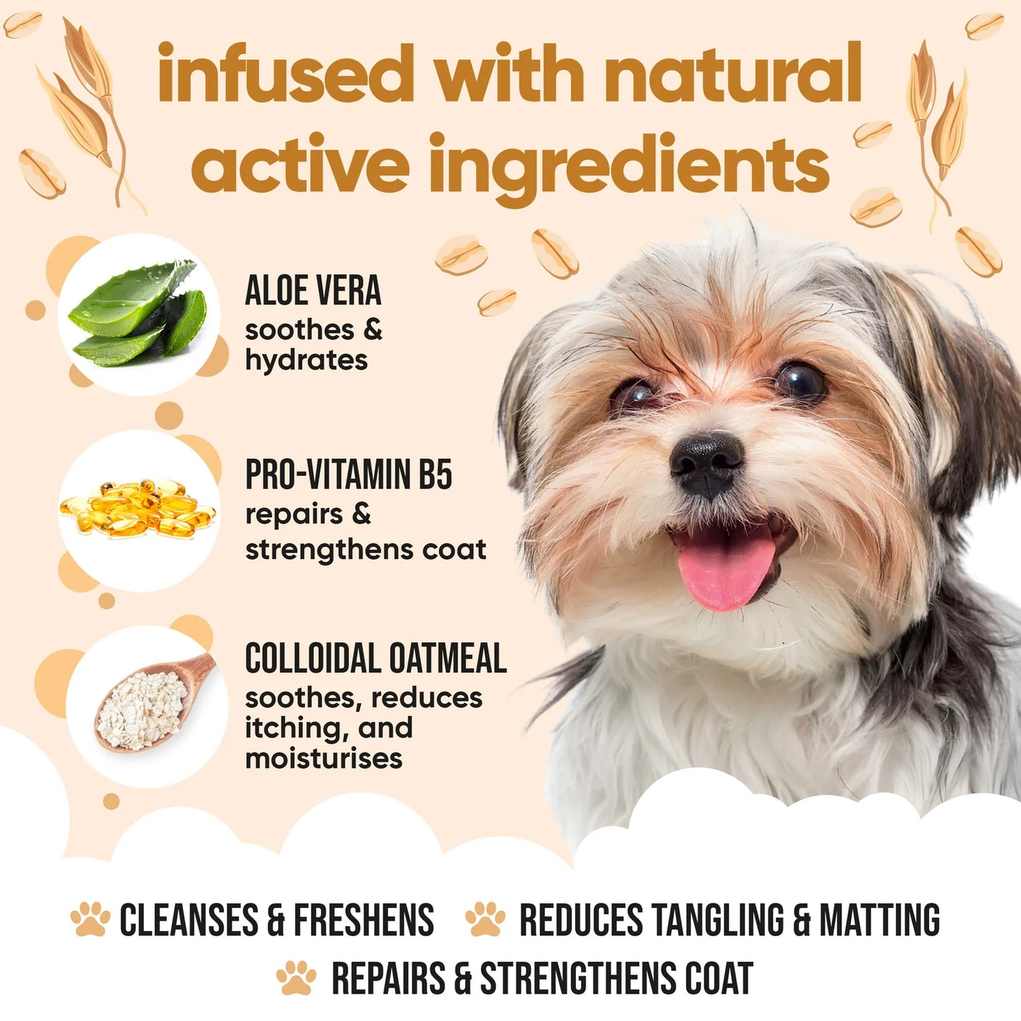 Buddy Care Oatmeal Shampoo 500 ml