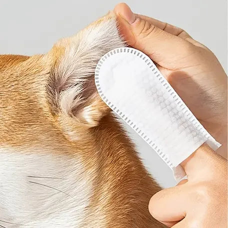 Non Woven Disposable Pet Cleaning Glove pack of 55