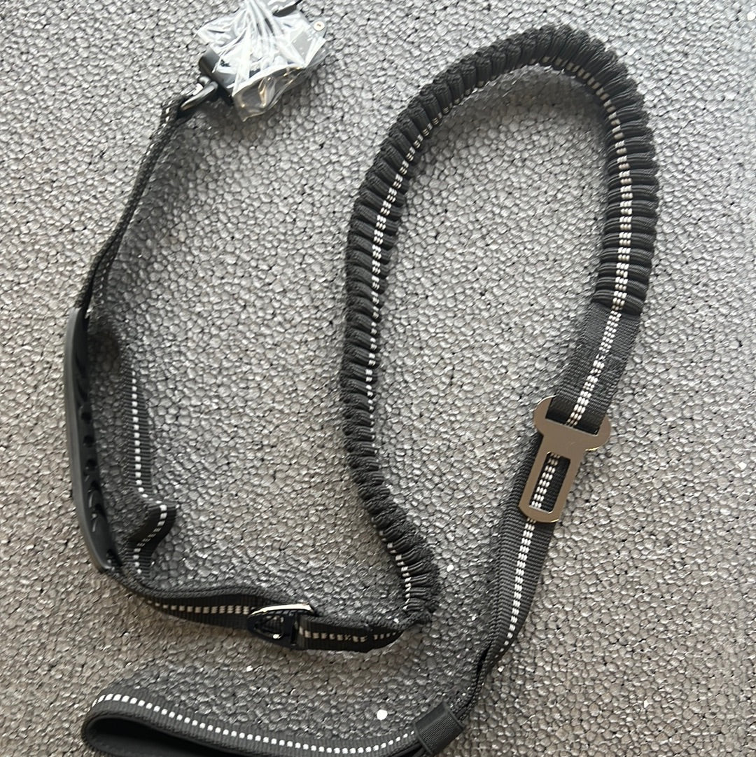 Dog Reflective Lead (black)