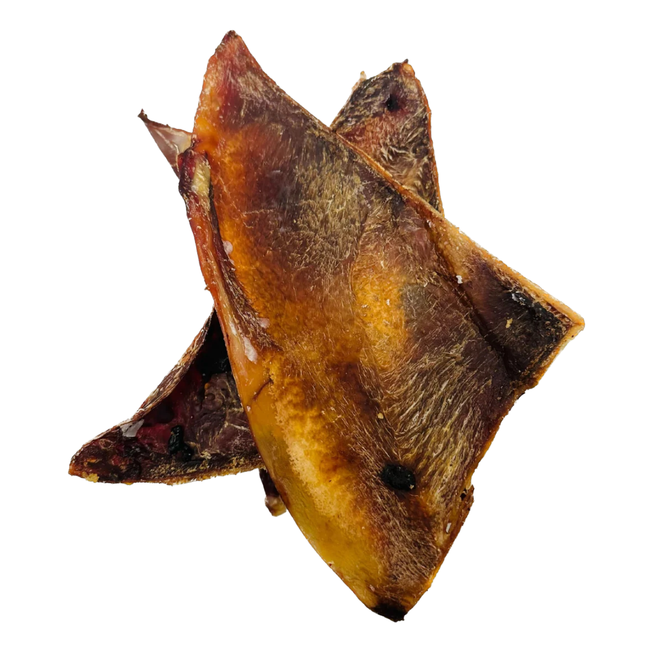 Beef Moon Bone - Single