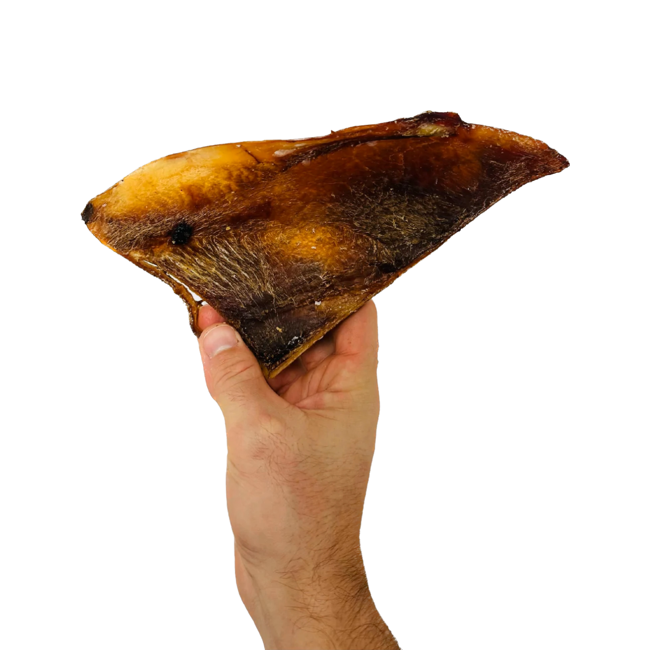 Beef Moon Bone - Single