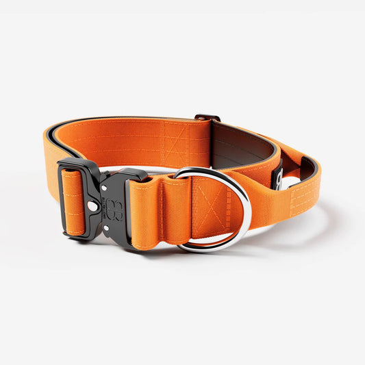 5cm Combat Collar With Handle - Orange