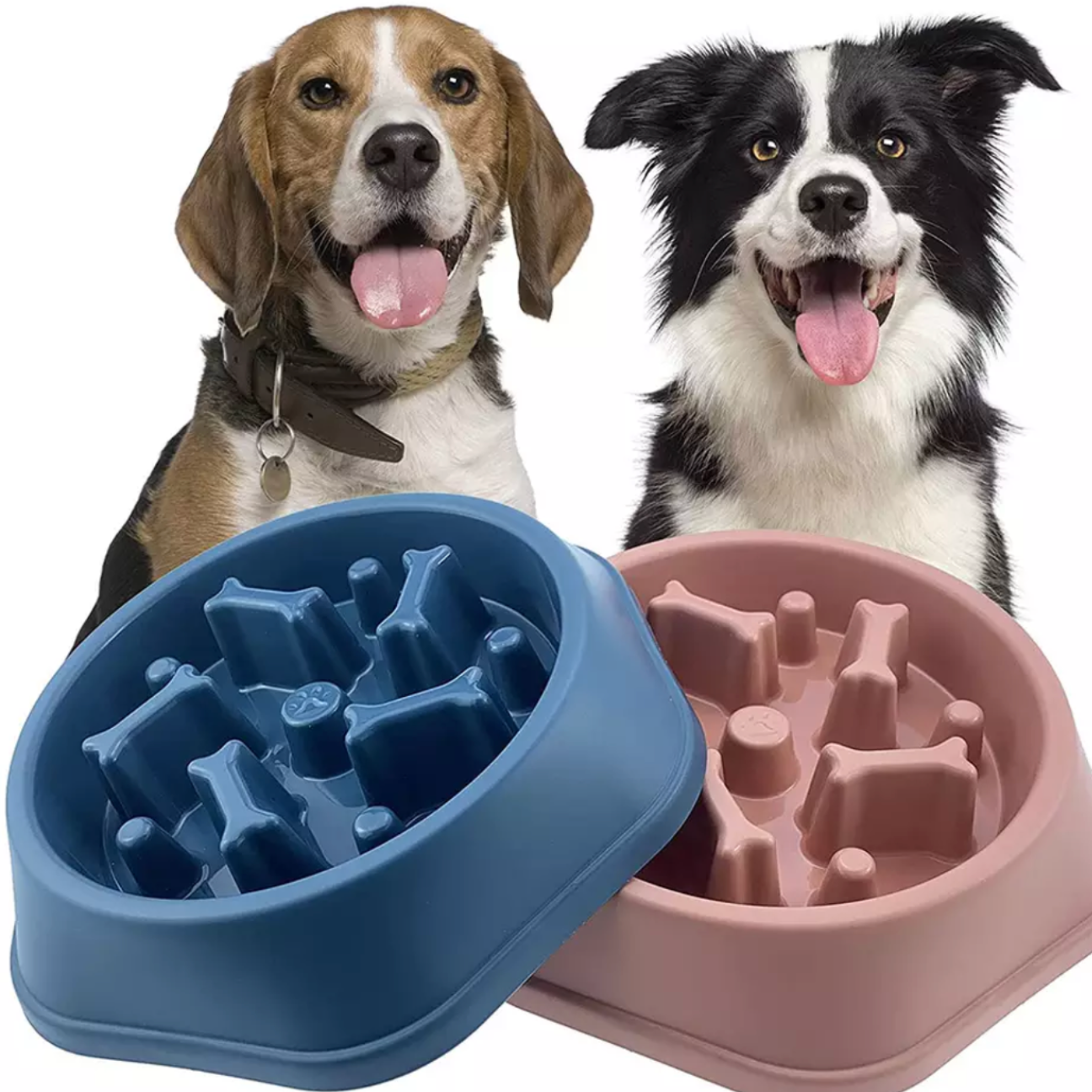 Slow feeder dog bowl for online raw food