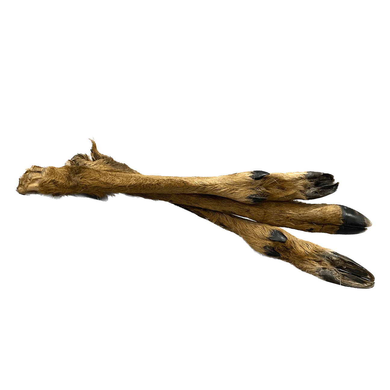 Venison Leg - Singles