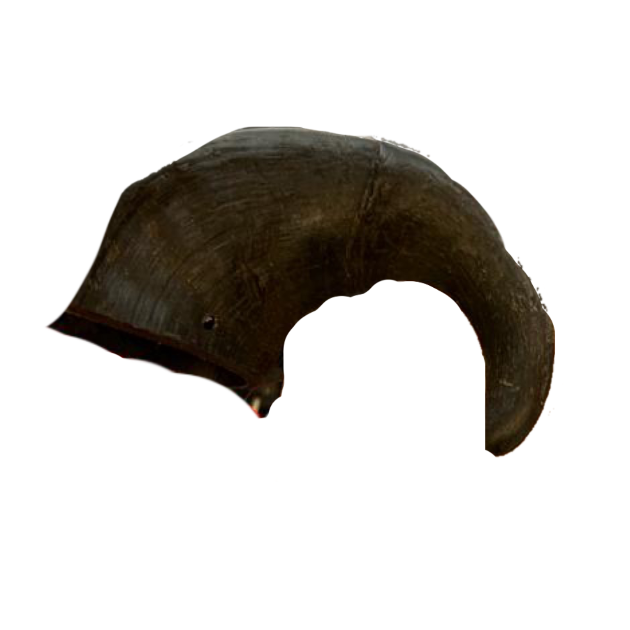 Buffalo Horn