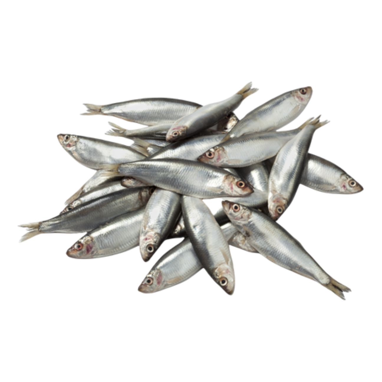 Sprats - Frozen - 1kg