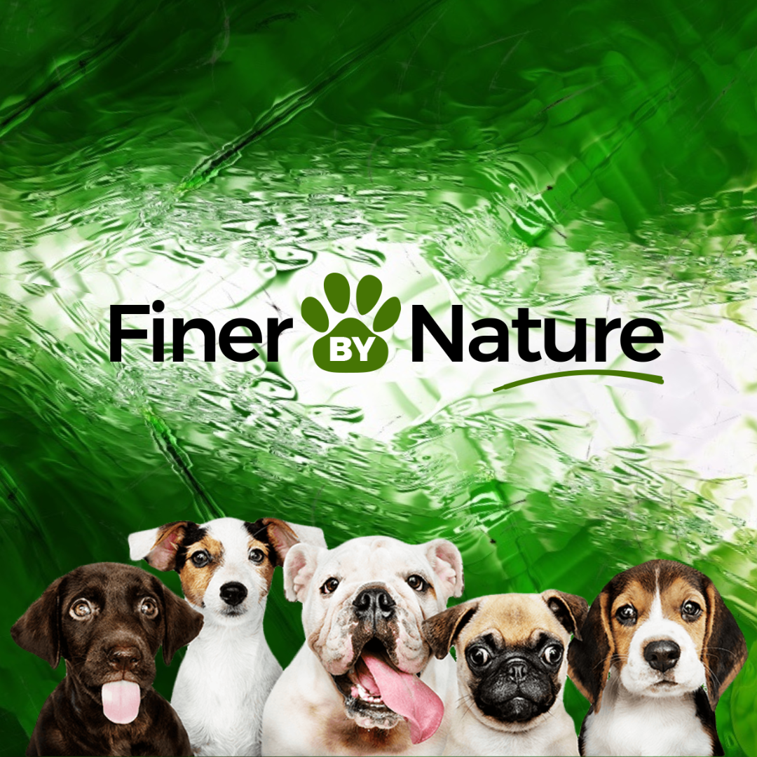 FINER BY NATURE Pure Raw Feeds