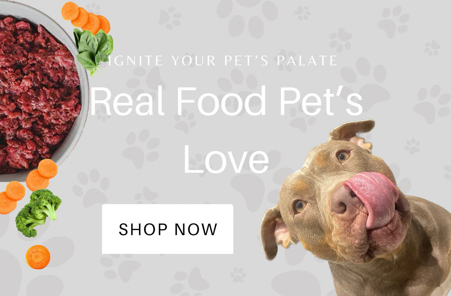 Leeds raw online dog food