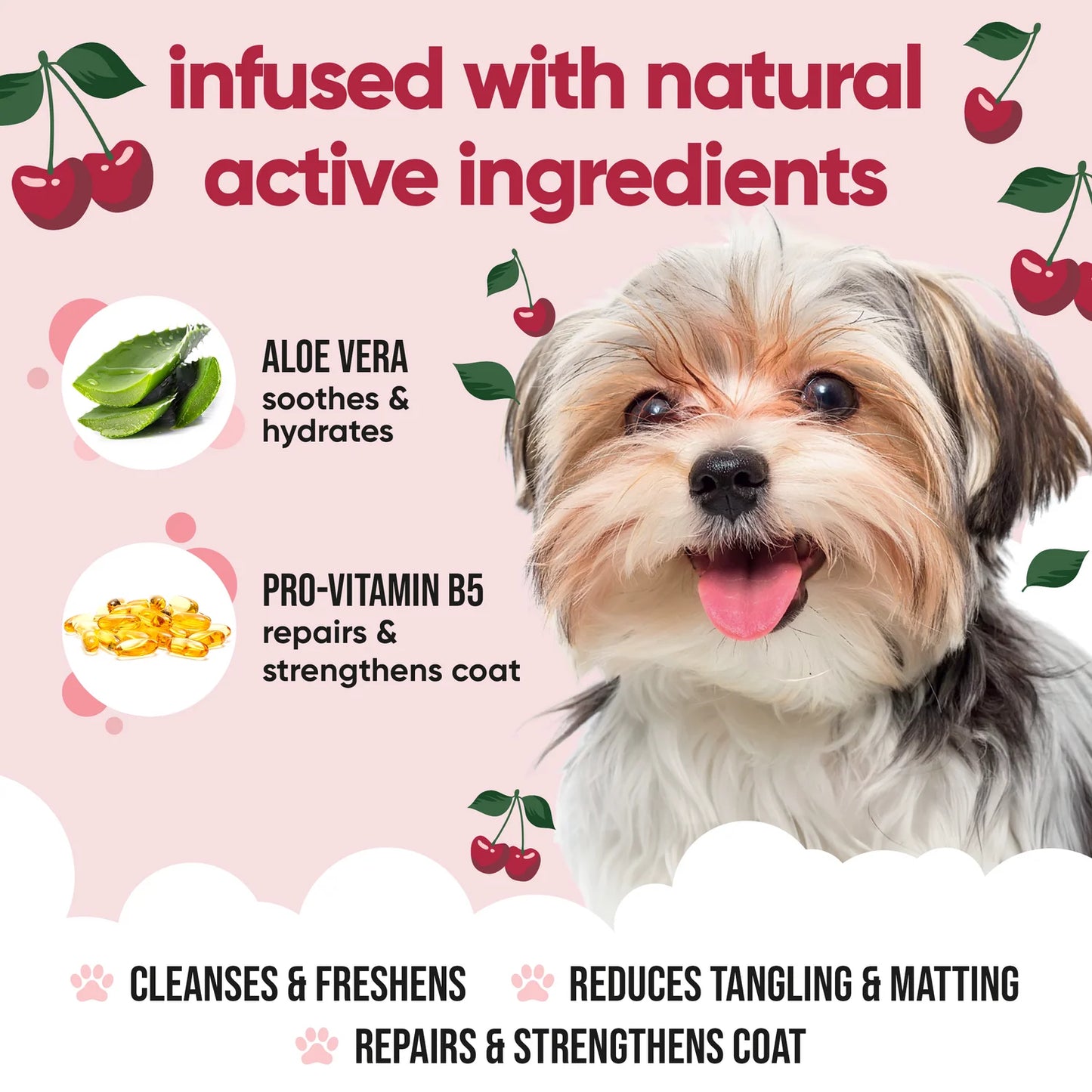 Buddy care Black Cherry Shampoo