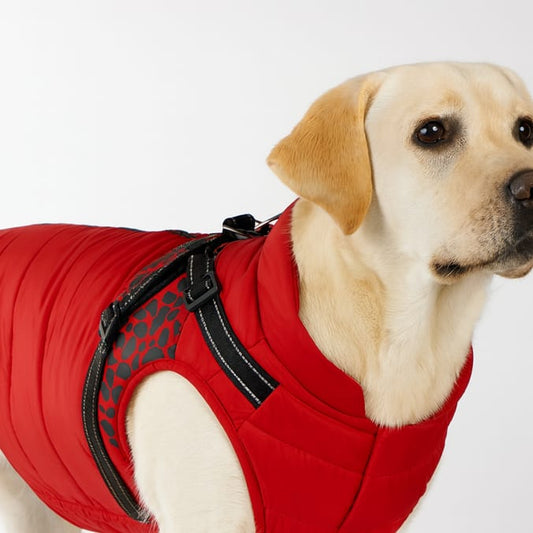 Dog Coat with Adjustable Harness Size - large Available in red or black