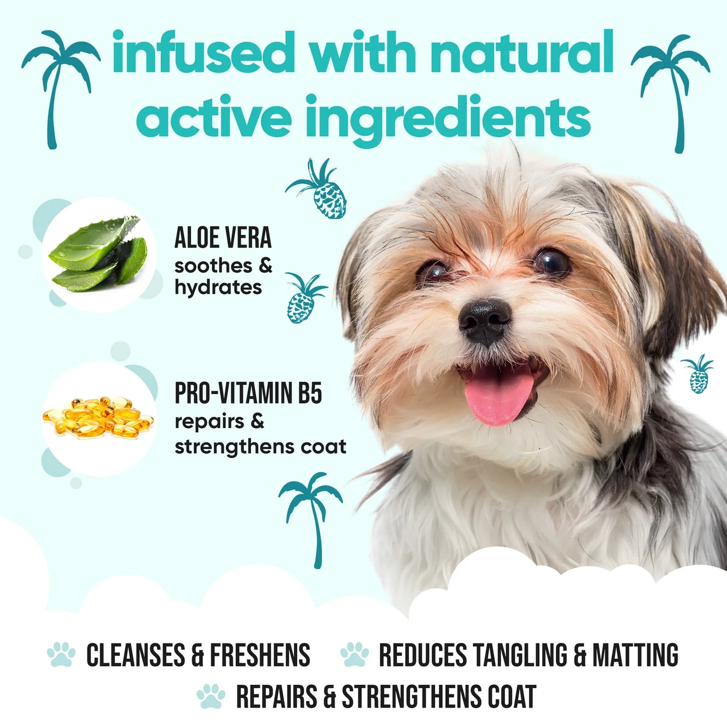 Buddy Care Tropical Shampoo 500ml