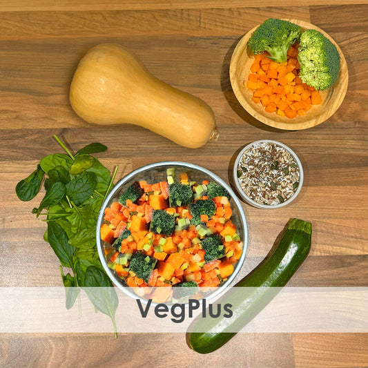 Vegplus