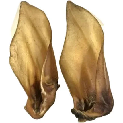 Jumbo Buffalo Ears (pack of 2)
