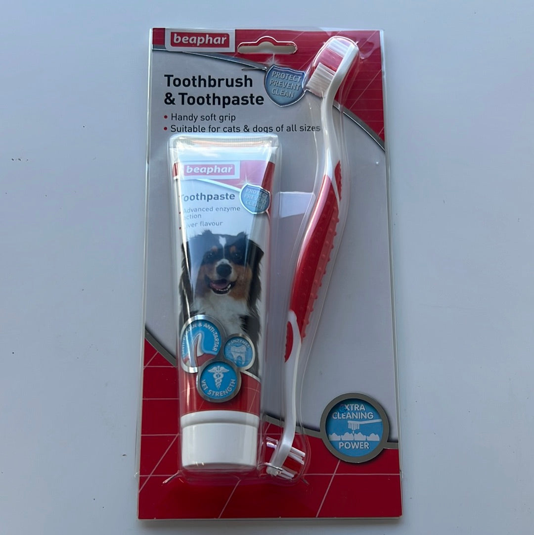 Toothbrush and toothpaste