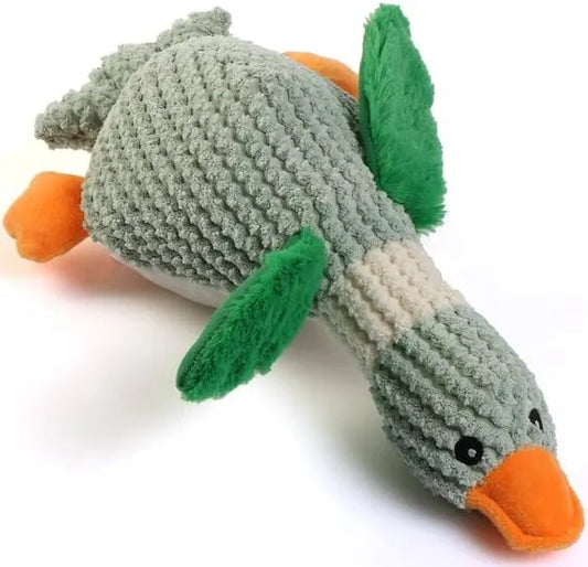 Bird Toy