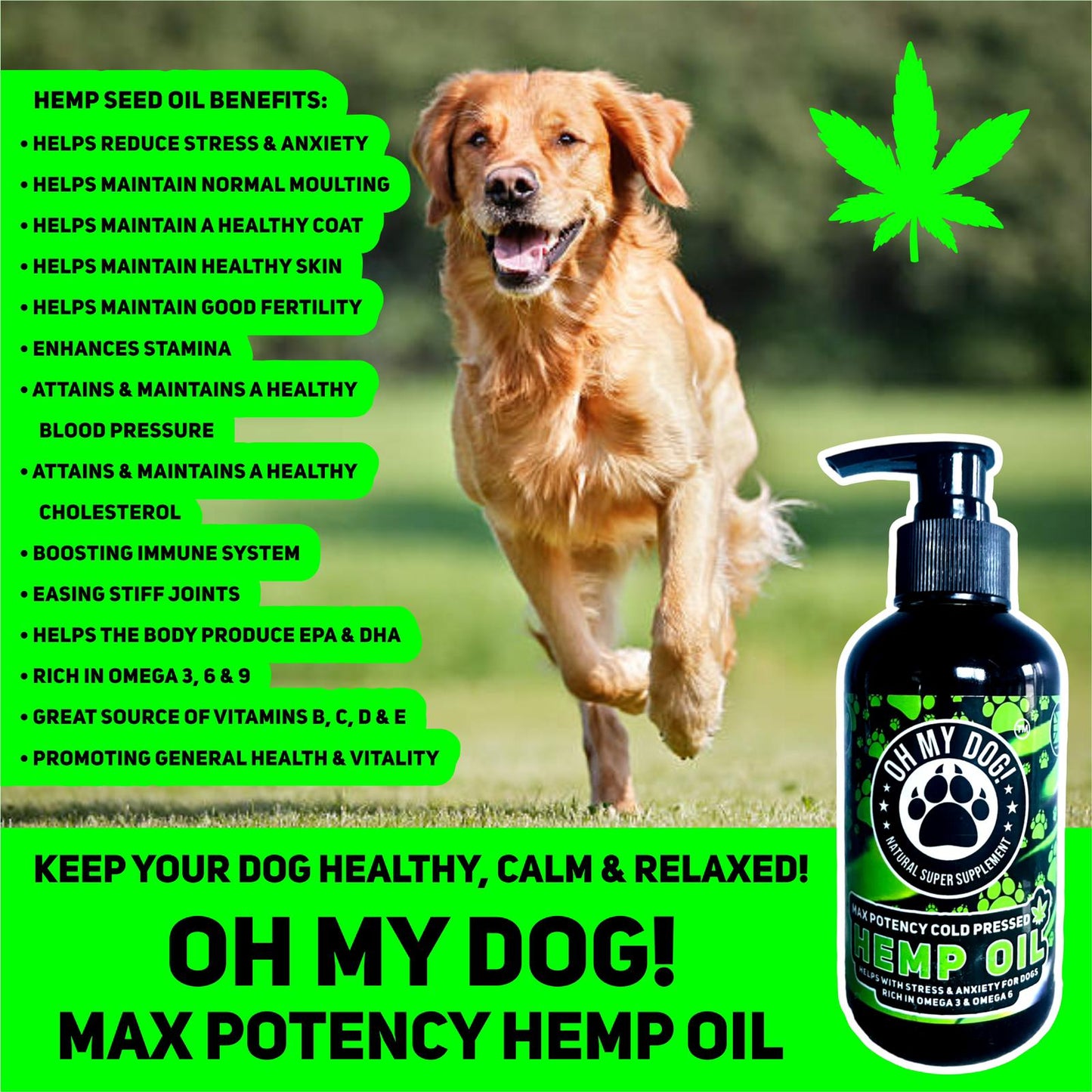 Hemp Oil - 250ml