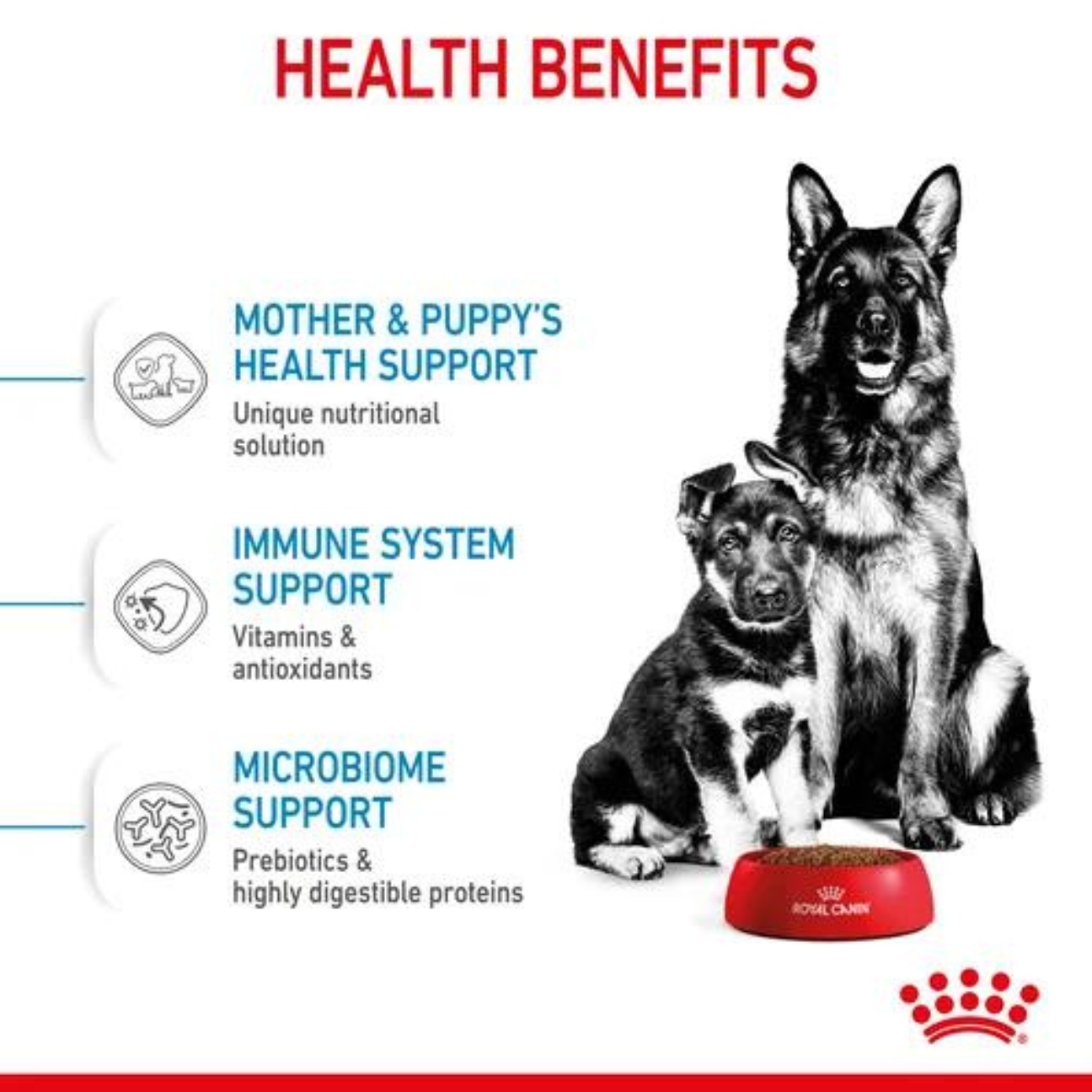 Royal canin top maxi starter puppy