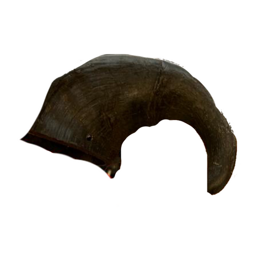 Buffalo Horn